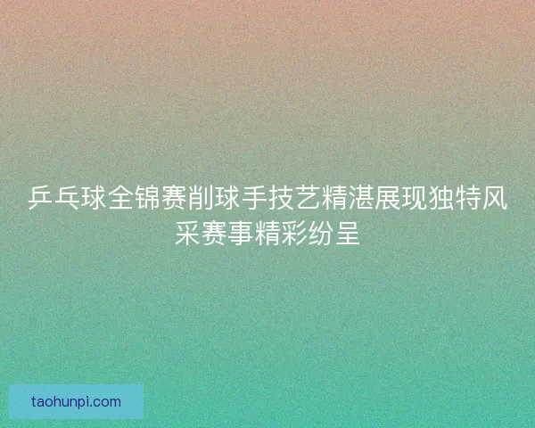 乒乓球全锦赛削球手技艺精湛展现独特风采赛事精彩纷呈